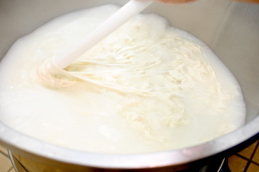 mozzarella cheese