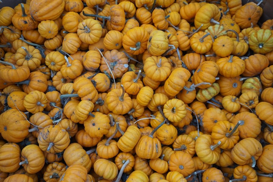 peanut butter halloween candy