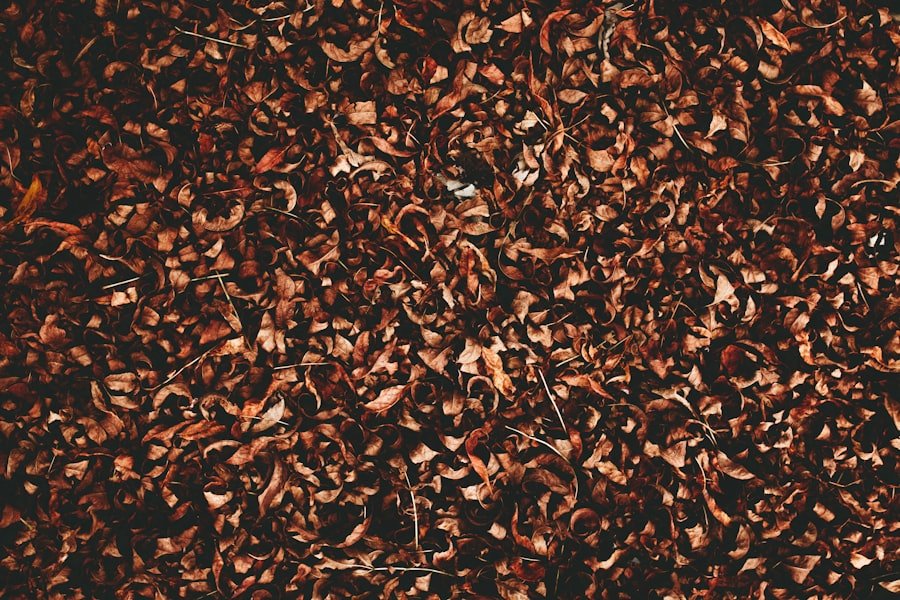 cinnamon twists