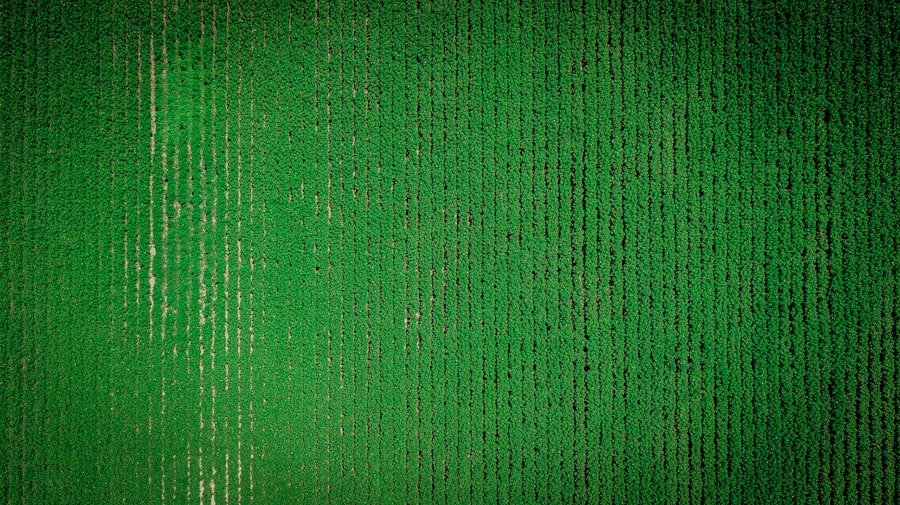 greenstalk discount code