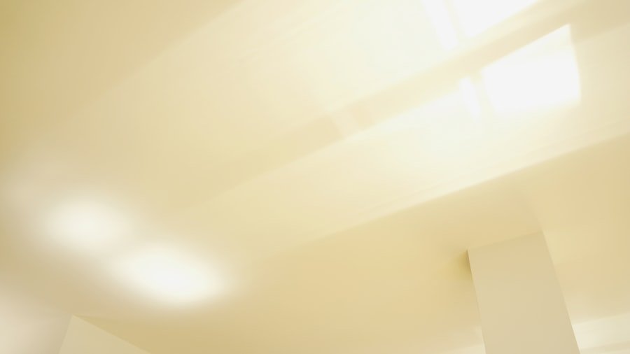 murraya koenigii care