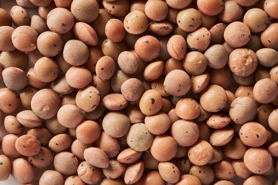 non gmo soybeans