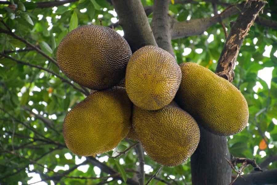 yellow fruit