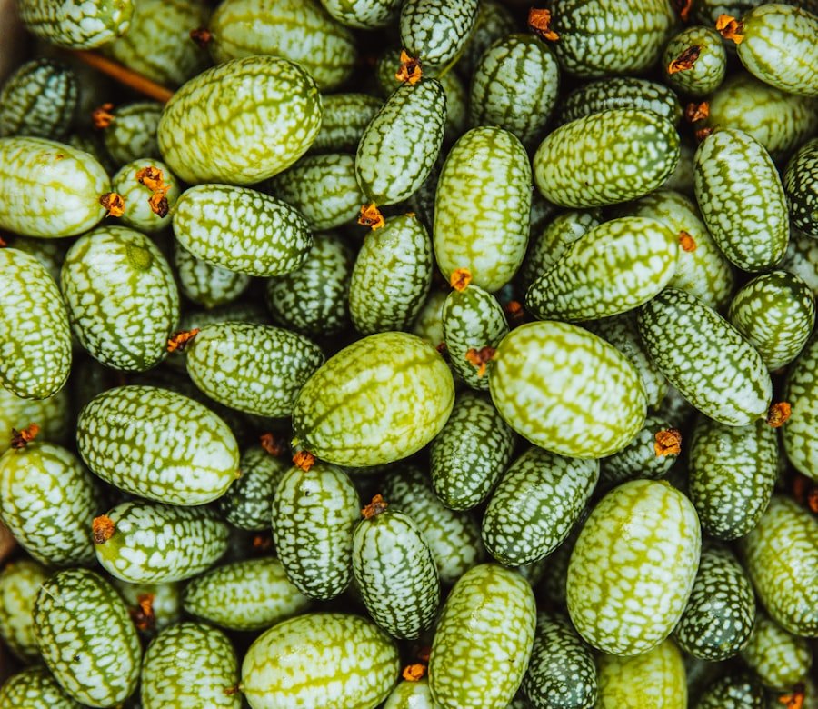 cucumber seeds