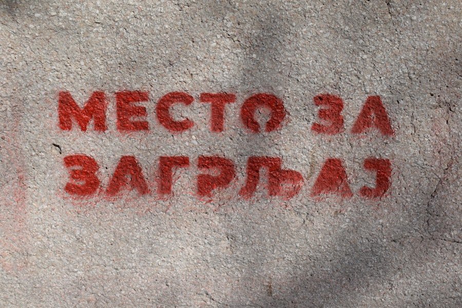 Fresh burrata ball on a plate, cut to show creamy stracciatella center