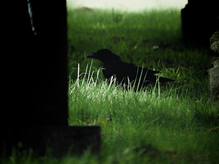 Photo ozzy osbourne death