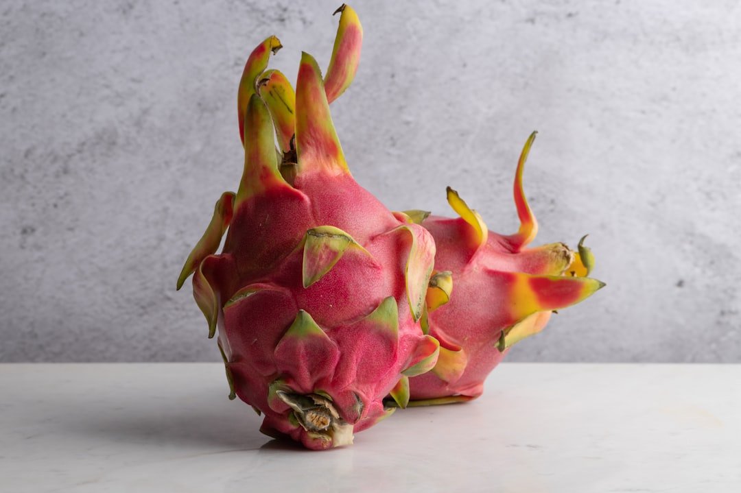 Photo dragon fruit