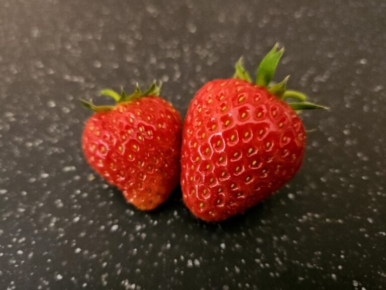 Photo strawberry napoleon