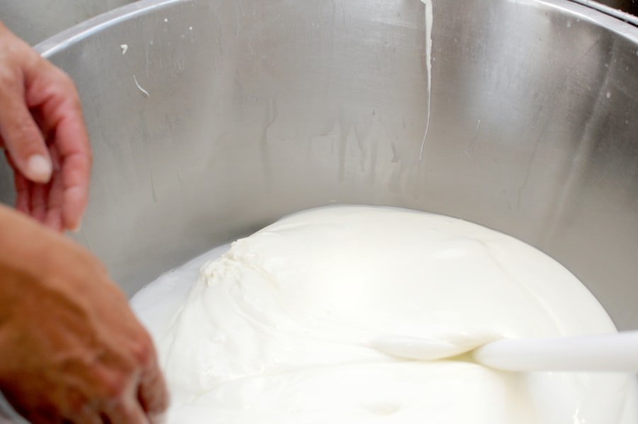 Photo mozzarella cheese