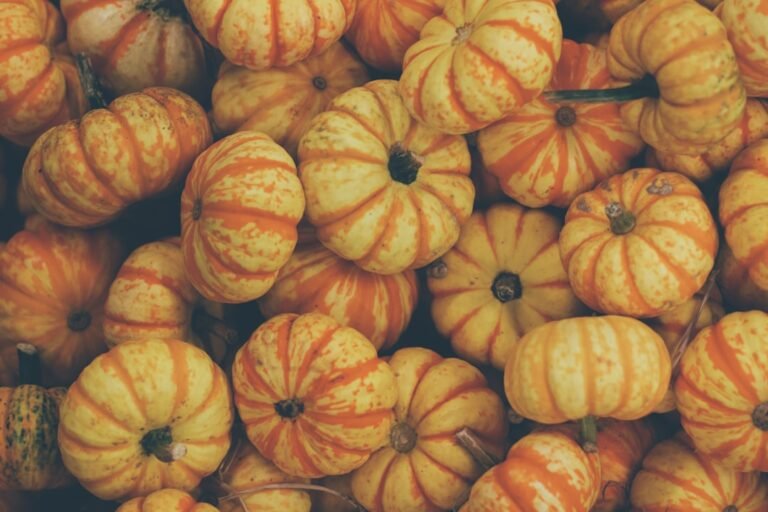 Photo turkey candy
