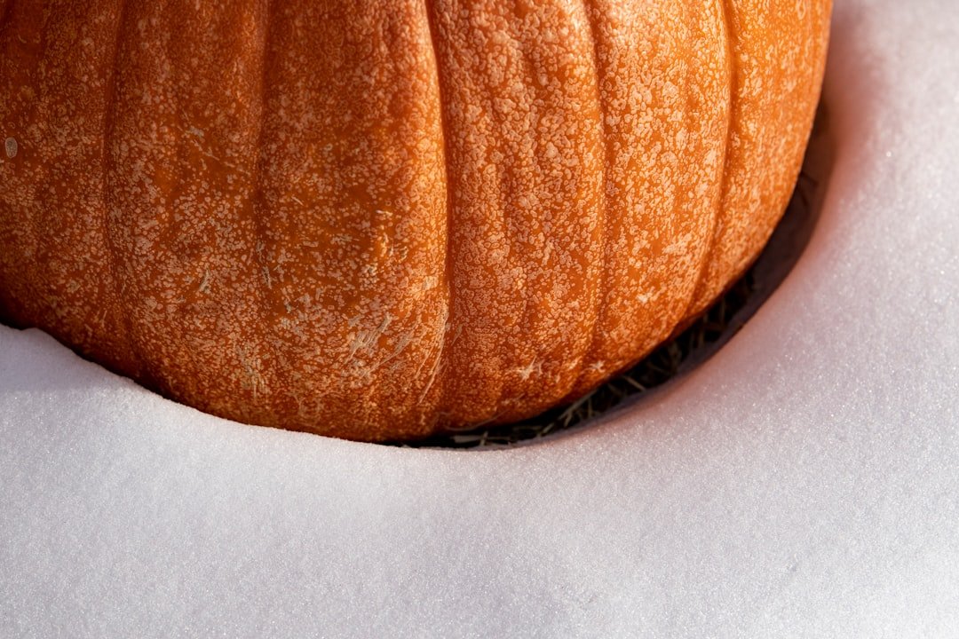 Photo peanut butter halloween candy