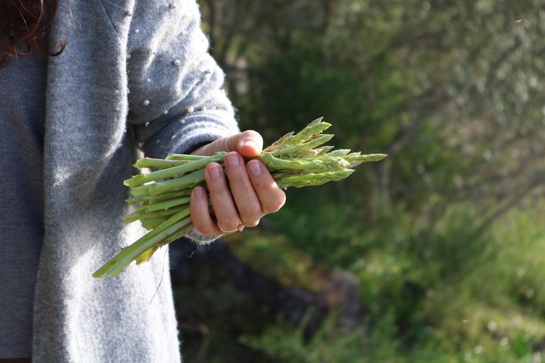 Photo asparagus