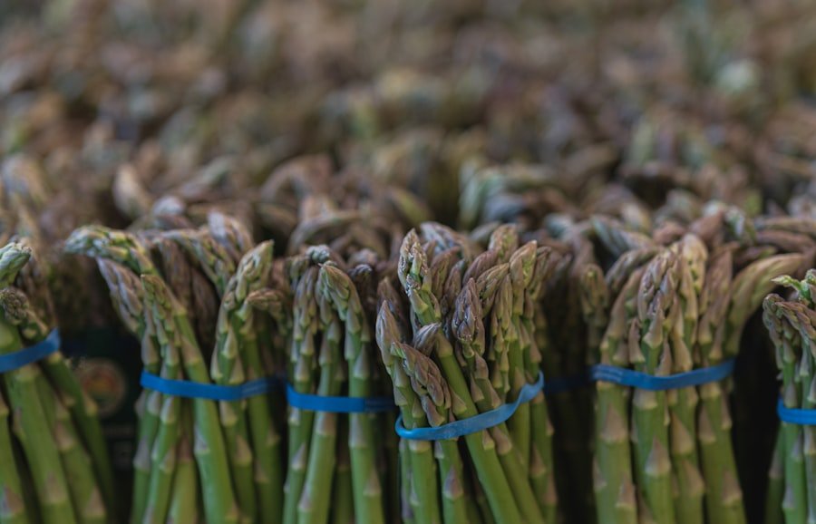 Photo asparagus