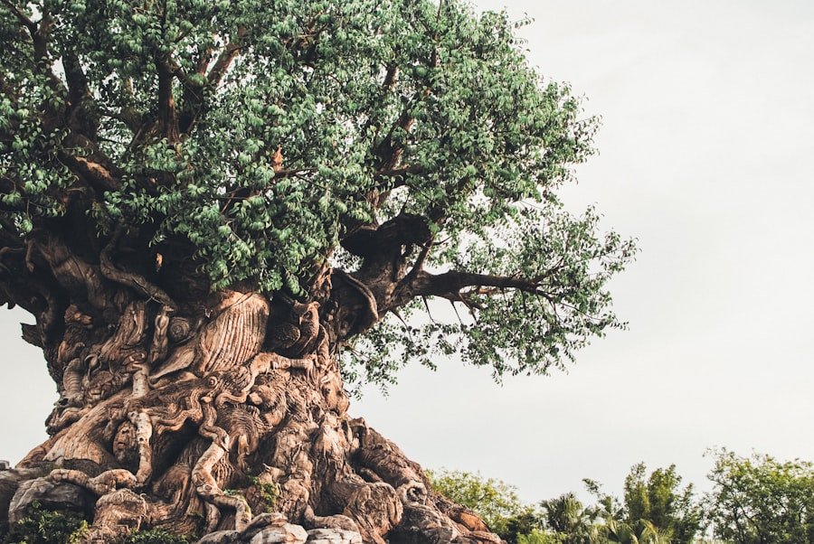 Photo tree of life