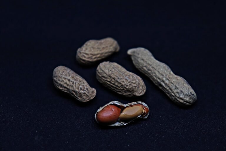 Photo beans seeds