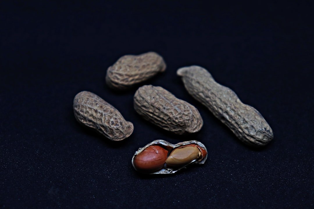 Photo beans seeds