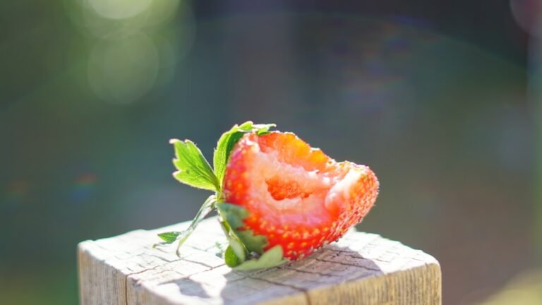 Photo strawberry ozark beauty
