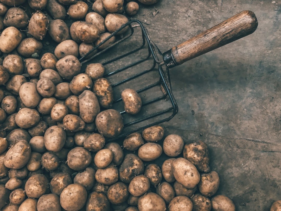 Photo potatoes