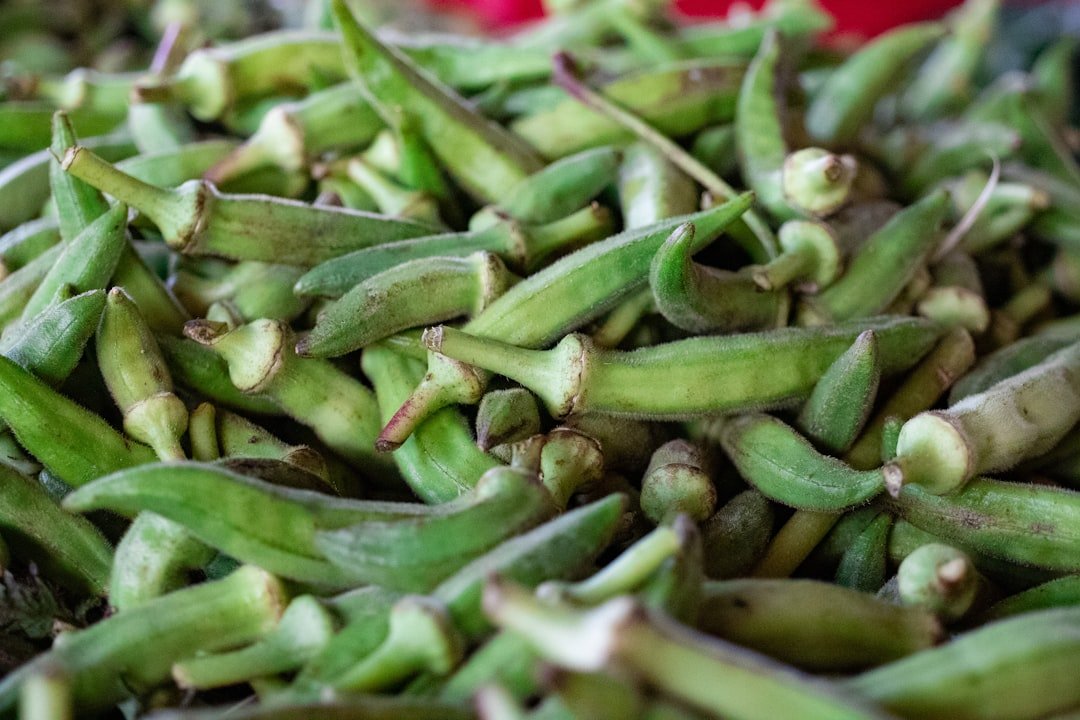Photo chinese long beans growing