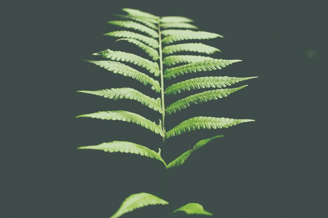 Photo greenstalk coupon code