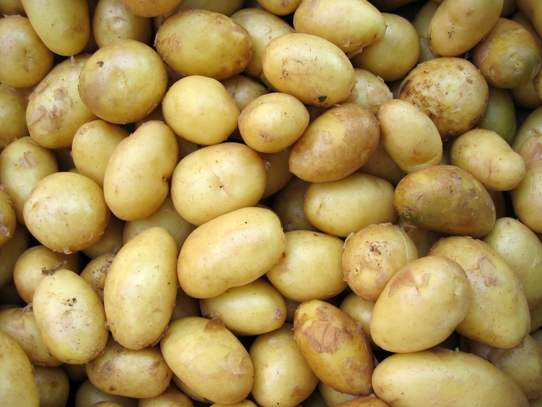 Photo grow yukon gold potatoes