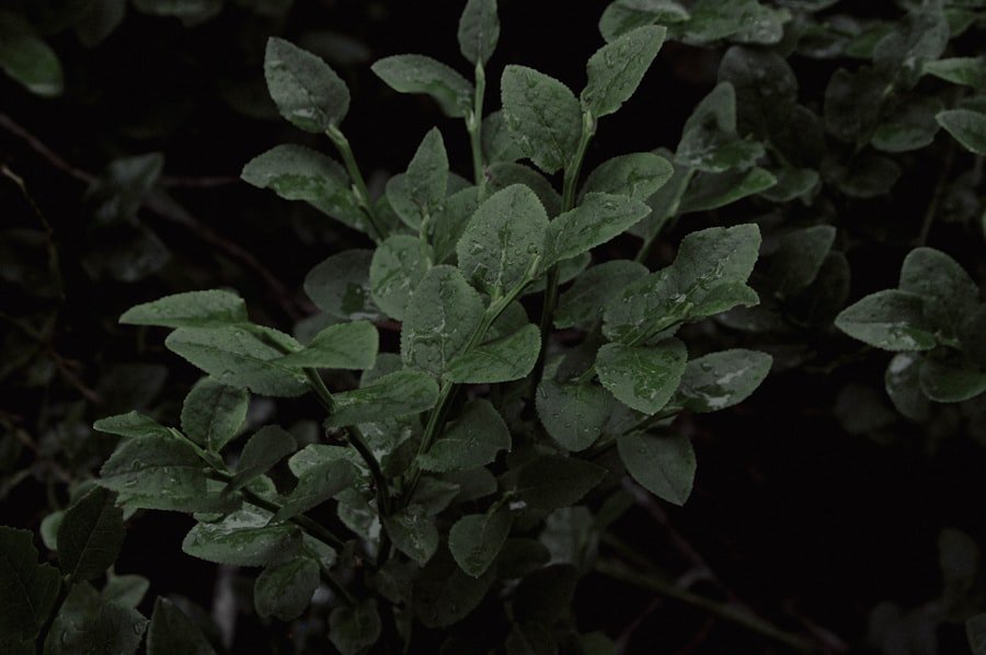 Photo greenstalk planter