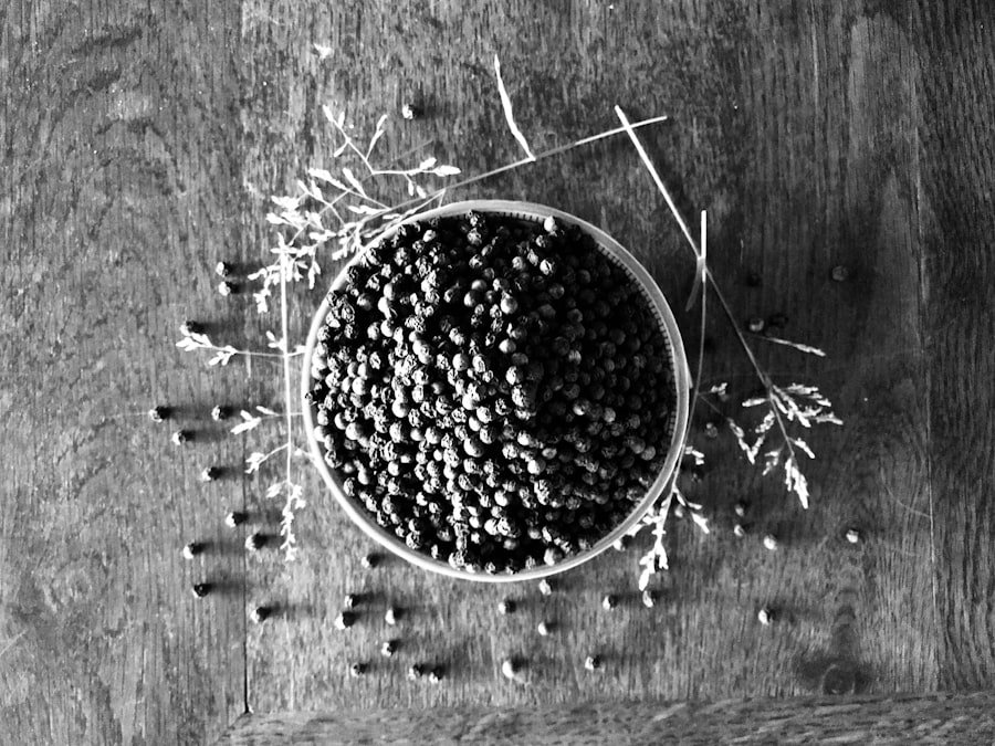 Photo non gmo soybeans