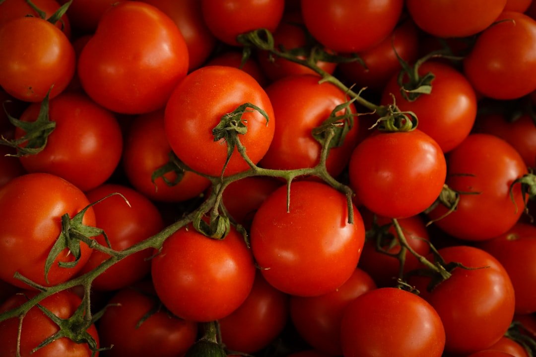 Photo tomatoes