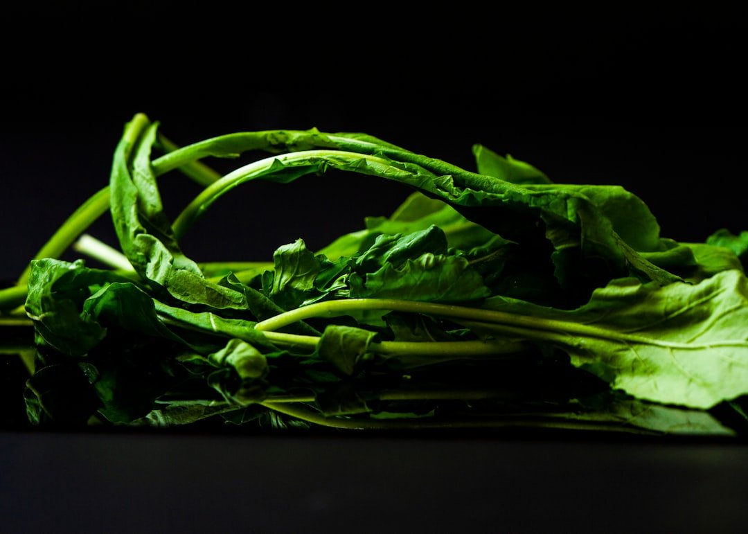 Photo asparagus bean seeds