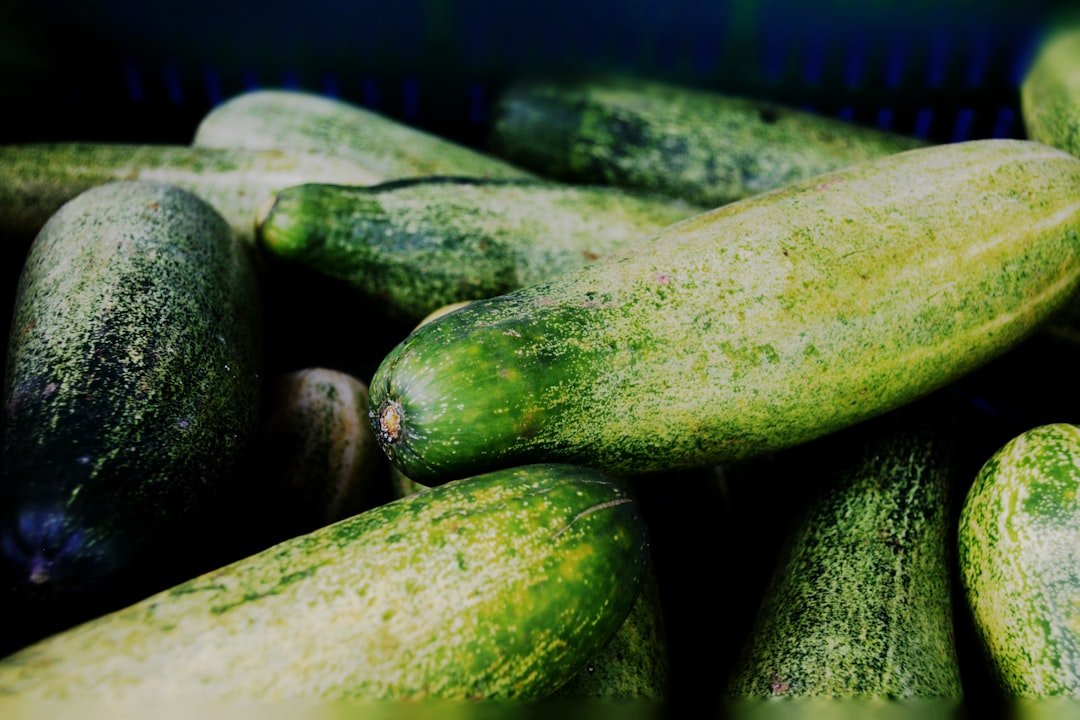 Photo cucumbers