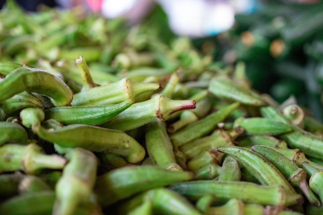 Photo okra