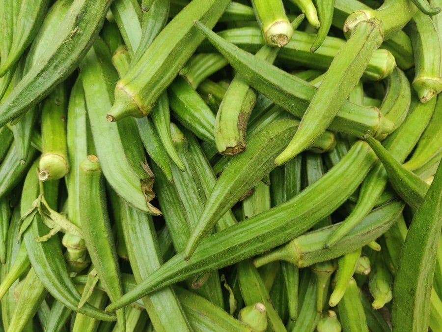 Okra pods during handling and sorting