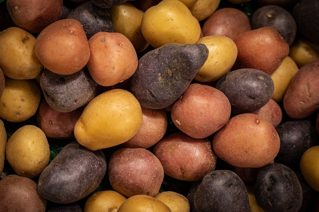 Photo container potatoes