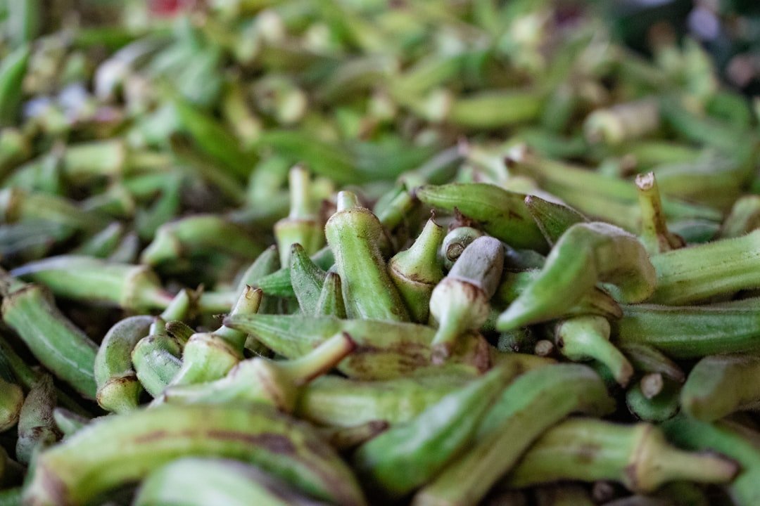 Photo chinese green beans seeds