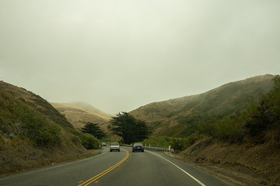 Photo loquat California