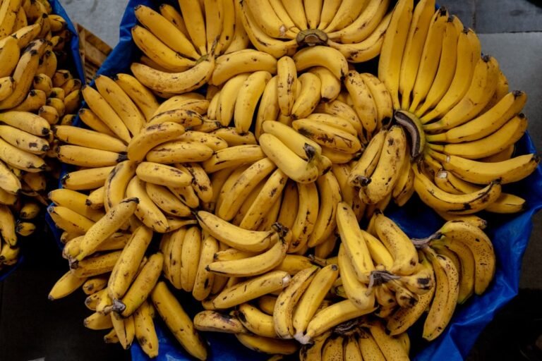 Photo rajapuri banana