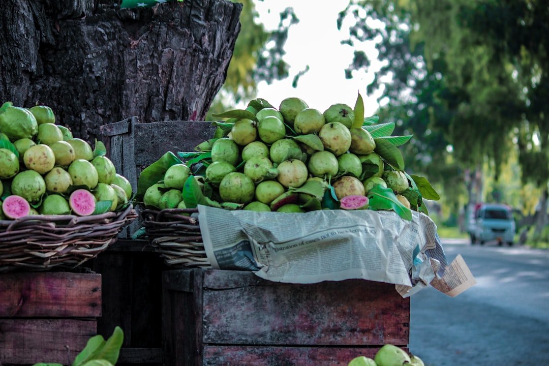 Photo guava