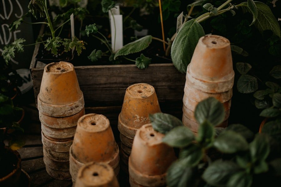 Photo potato growing barrel