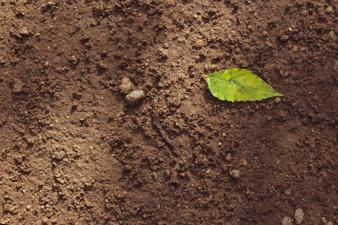 Photo soil