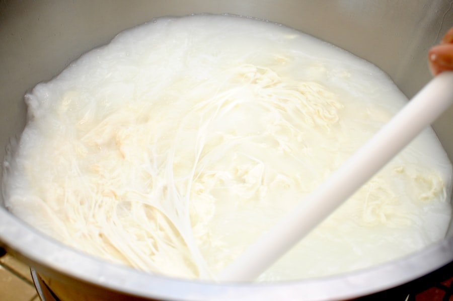 Photo cottage cheese