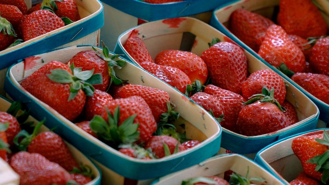 Photo strawberry growing bags