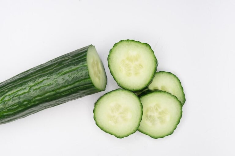 Photo cucumber