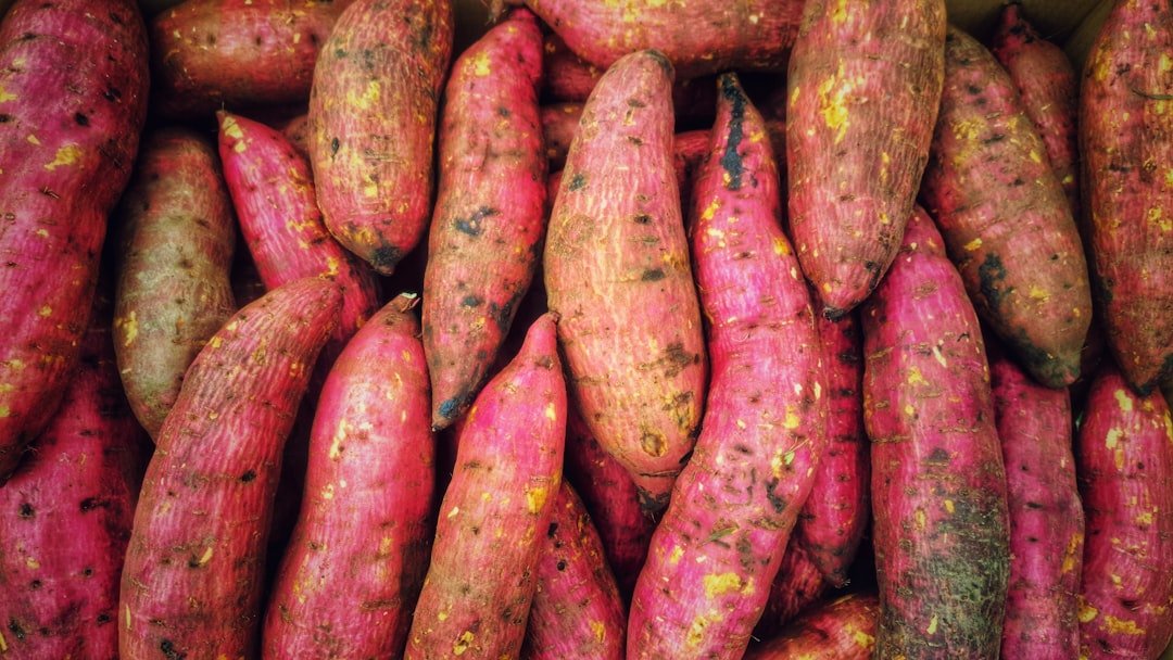 Photo purple potatoes