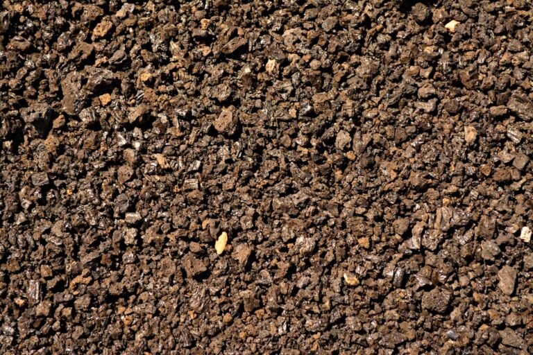 Photo top soil