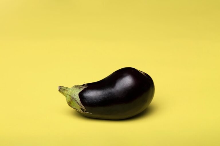 Photo eggplant