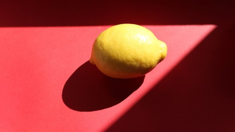 Photo lemon plum
