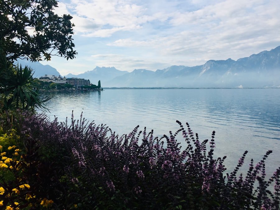 day trips from Geneva