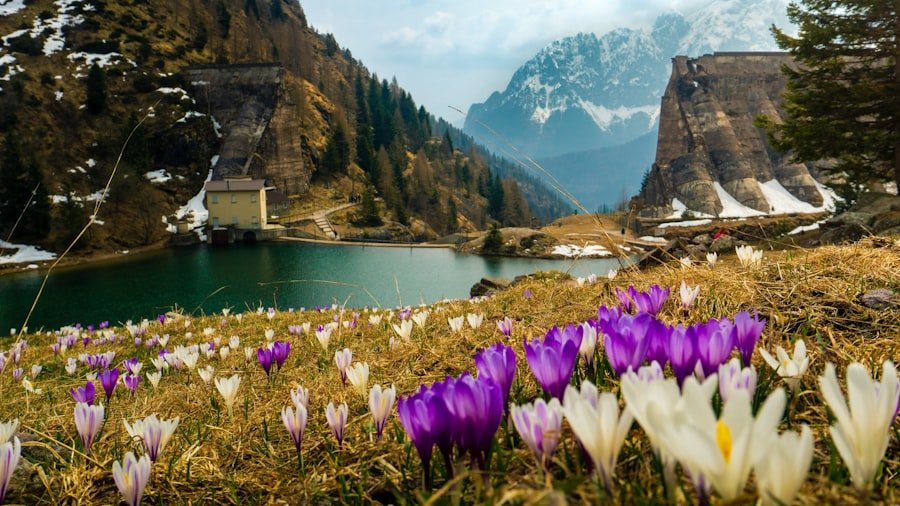 Switzerland spring travel guide