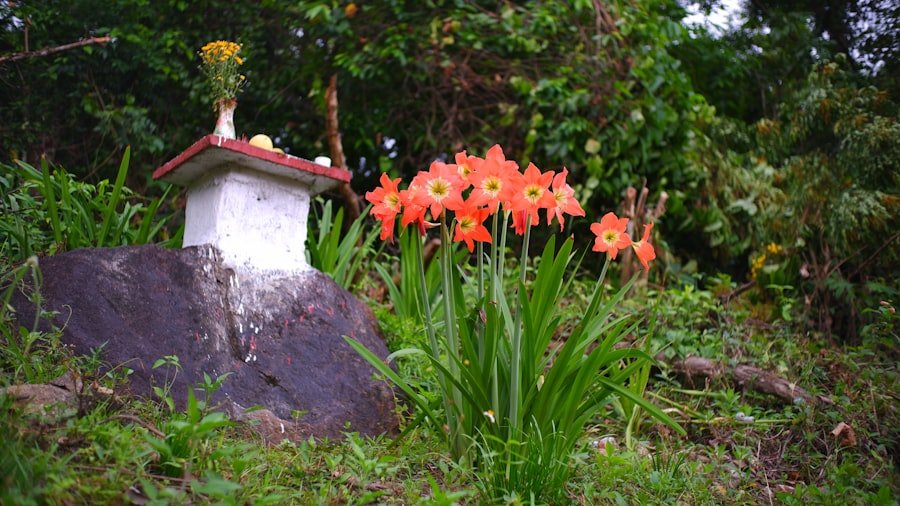 Hagia Sophia Visiting Tips