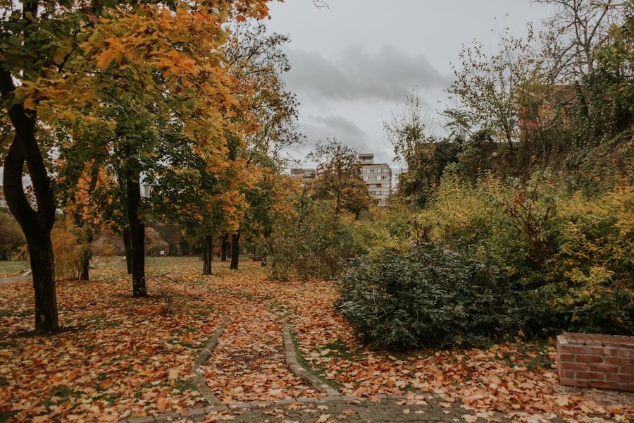 London Weather in November